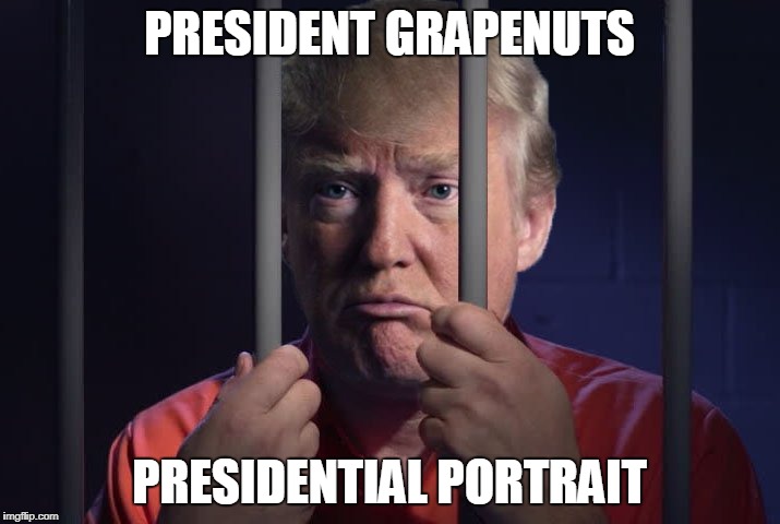 Trump in jail  | PRESIDENT GRAPENUTS; PRESIDENTIAL PORTRAIT | image tagged in trump in jail | made w/ Imgflip meme maker