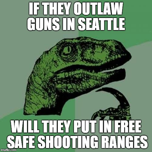 Philosoraptor | IF THEY OUTLAW GUNS IN SEATTLE; WILL THEY PUT IN FREE SAFE SHOOTING RANGES | image tagged in memes,philosoraptor | made w/ Imgflip meme maker