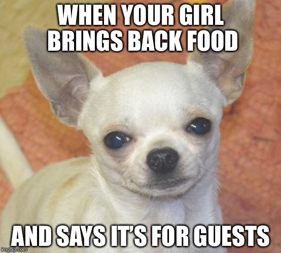 The Pongo Talks | WHEN YOUR GIRL BRINGS BACK FOOD; AND SAYS IT’S FOR GUESTS | image tagged in dog food | made w/ Imgflip meme maker