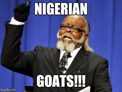 Too Damn High Meme | NIGERIAN; GOATS!!! | image tagged in memes,too damn high | made w/ Imgflip meme maker
