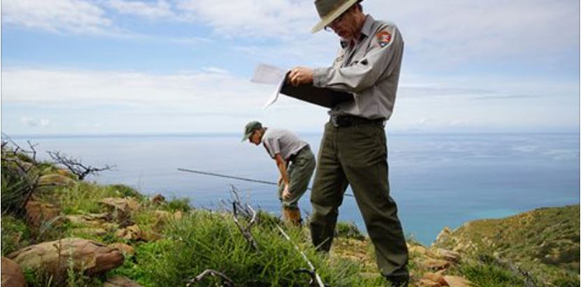 Park Rangers Blank Meme Template