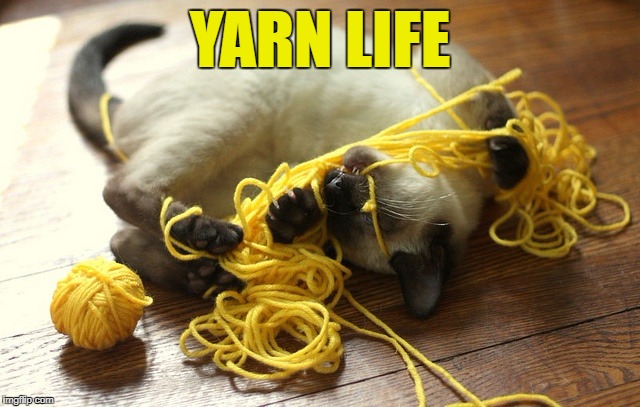 YARN LIFE | made w/ Imgflip meme maker