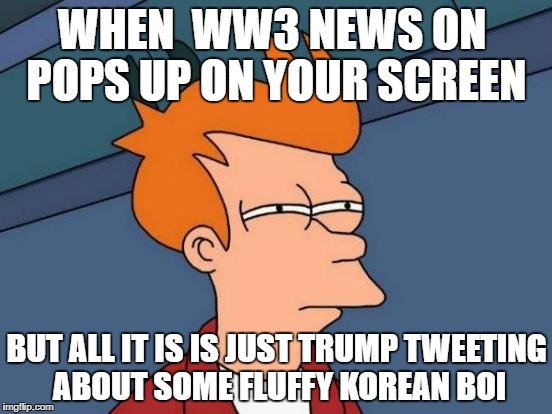 Futurama Fry Meme | WHEN  WW3 NEWS ON  POPS UP ON YOUR SCREEN; BUT ALL IT IS IS JUST TRUMP TWEETING ABOUT SOME FLUFFY KOREAN BOI | image tagged in memes,futurama fry | made w/ Imgflip meme maker