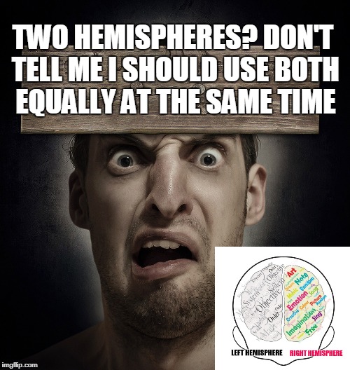 TWO HEMISPHERES? DON'T TELL ME I SHOULD USE BOTH EQUALLY AT THE SAME TIME | made w/ Imgflip meme maker