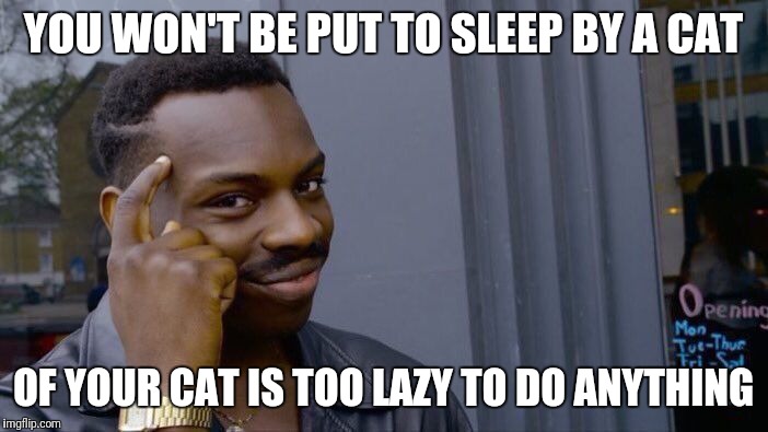 Roll Safe Think About It Meme | YOU WON'T BE PUT TO SLEEP BY A CAT OF YOUR CAT IS TOO LAZY TO DO ANYTHING | image tagged in memes,roll safe think about it | made w/ Imgflip meme maker