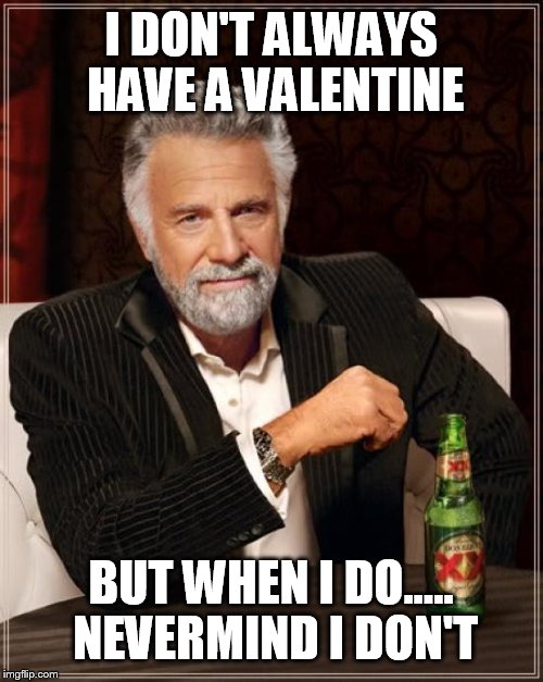 The Most Interesting Man In The World | I DON'T ALWAYS HAVE A VALENTINE; BUT WHEN I DO..... NEVERMIND I DON'T | image tagged in memes,the most interesting man in the world | made w/ Imgflip meme maker