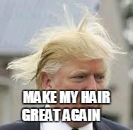 MAKE MY HAIR GREAT AGAIN | image tagged in donald trump | made w/ Imgflip meme maker