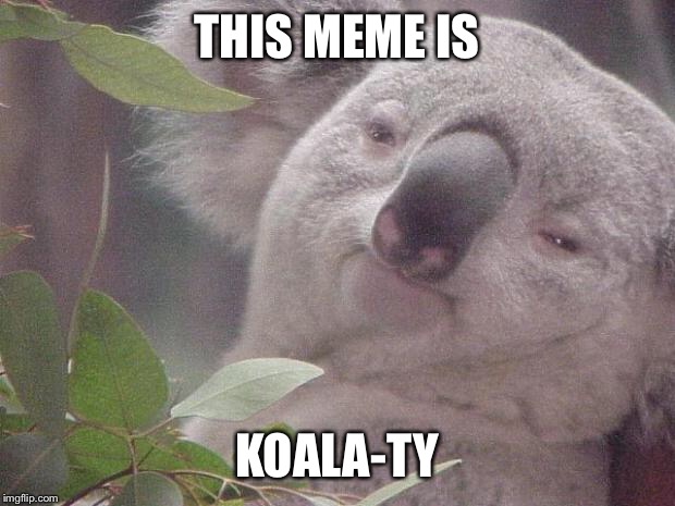Dank Koala | THIS MEME IS; KOALA-TY | image tagged in dank koala | made w/ Imgflip meme maker