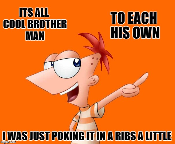 phineas and ferb  | ITS ALL COOL BROTHER MAN TO EACH HIS OWN I WAS JUST POKING IT IN A RIBS A LITTLE | image tagged in phineas and ferb | made w/ Imgflip meme maker