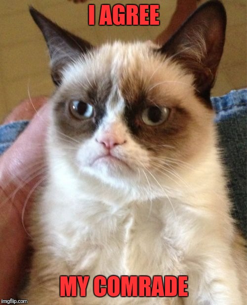 Grumpy Cat Meme | I AGREE MY COMRADE | image tagged in memes,grumpy cat | made w/ Imgflip meme maker