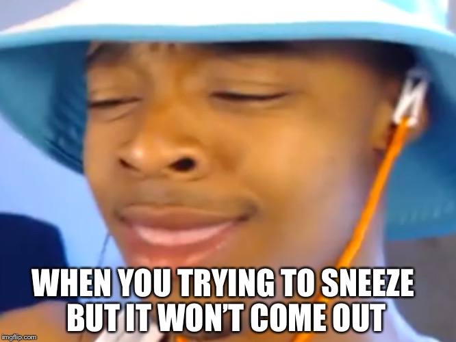 That one sneeze  | WHEN YOU TRYING TO SNEEZE BUT IT WON’T COME OUT | image tagged in sneezing,flightreacts,reaction,dolphin laugh | made w/ Imgflip meme maker