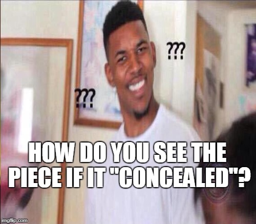 HOW DO YOU SEE THE PIECE IF IT "CONCEALED"? | made w/ Imgflip meme maker