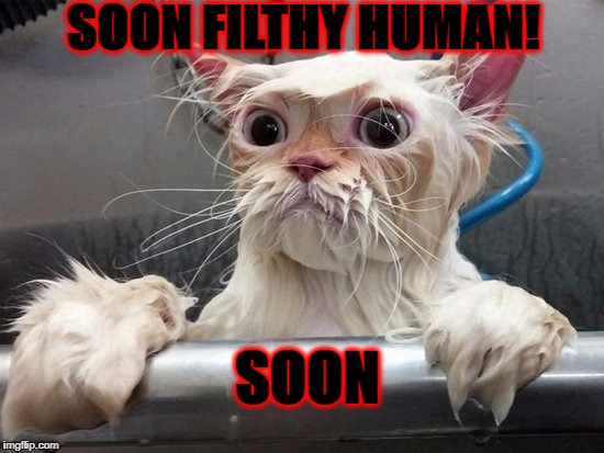 SOON FILTHY HUMAN! SOON | image tagged in soon | made w/ Imgflip meme maker