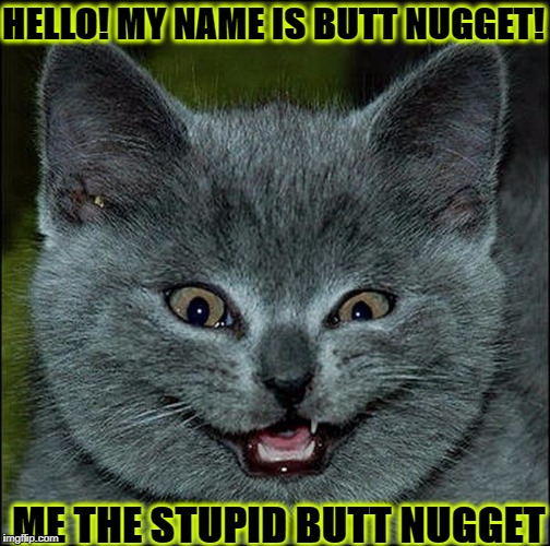 HELLO! MY NAME IS BUTT NUGGET! ME THE STUPID BUTT NUGGET | image tagged in butt nugget | made w/ Imgflip meme maker