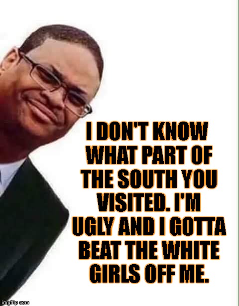 I DON'T KNOW WHAT PART OF THE SOUTH YOU VISITED. I'M UGLY AND I GOTTA BEAT THE WHITE GIRLS OFF ME. | made w/ Imgflip meme maker