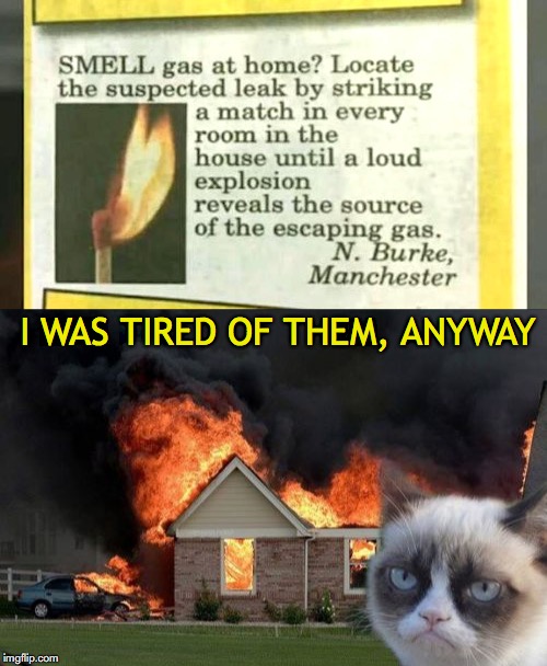 I WAS TIRED OF THEM, ANYWAY | image tagged in grumpy cat,burn kitty,leaks | made w/ Imgflip meme maker