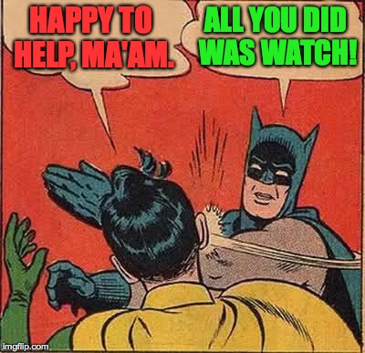 Batman Slapping Robin Meme | HAPPY TO HELP, MA'AM. ALL YOU DID WAS WATCH! | image tagged in memes,batman slapping robin | made w/ Imgflip meme maker