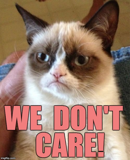 Grumpy Cat Meme | WE  DON'T CARE! | image tagged in memes,grumpy cat | made w/ Imgflip meme maker