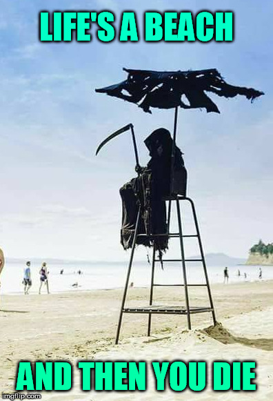 This beach looks dead today | LIFE'S A BEACH; AND THEN YOU DIE | image tagged in life,reaper,puns,meme | made w/ Imgflip meme maker