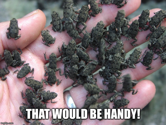 THAT WOULD BE HANDY! | made w/ Imgflip meme maker