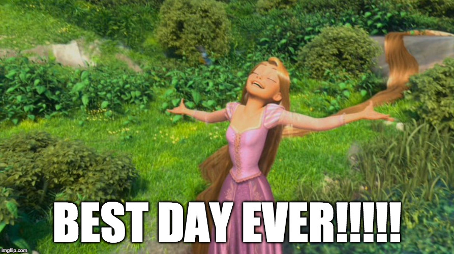 Rapunzel Tangled | BEST DAY EVER!!!!! | image tagged in rapunzel tangled | made w/ Imgflip meme maker