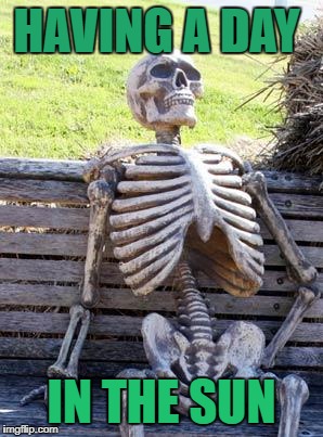 Waiting Skeleton | HAVING A DAY; IN THE SUN | image tagged in memes,waiting skeleton | made w/ Imgflip meme maker