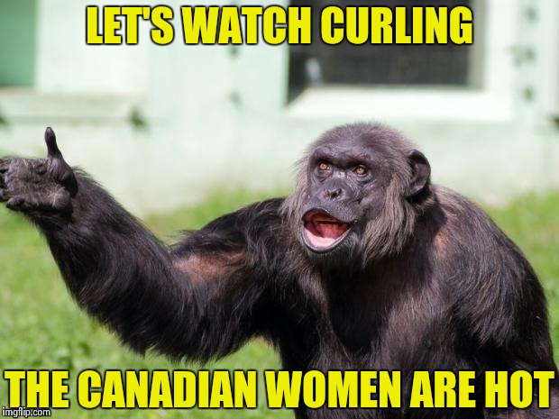 Gorilla your dreams | LET'S WATCH CURLING THE CANADIAN WOMEN ARE HOT | image tagged in gorilla your dreams | made w/ Imgflip meme maker