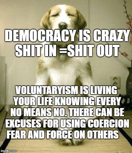 Inner Peace Dog | DEMOCRACY IS CRAZY SHIT IN =SHIT OUT; VOLUNTARYISM IS LIVING YOUR LIFE KNOWING EVERY NO MEANS NO. THERE CAN BE EXCUSES FOR USING COERCION FEAR AND FORCE ON OTHERS | image tagged in inner peace dog | made w/ Imgflip meme maker