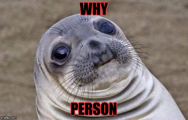 Awkward Moment Sealion | WHY; PERSON | image tagged in memes,awkward moment sealion | made w/ Imgflip meme maker