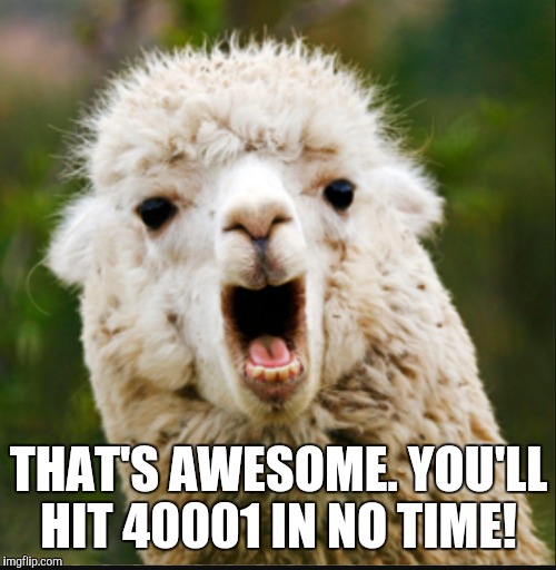 THAT'S AWESOME. YOU'LL HIT 40001 IN NO TIME! | made w/ Imgflip meme maker