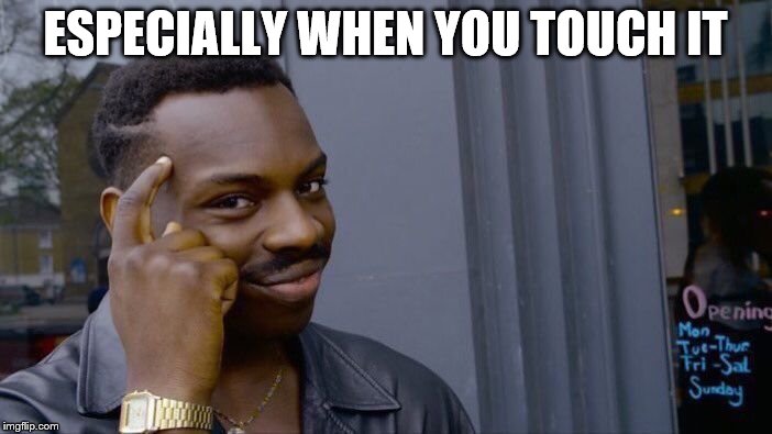 Roll Safe Think About It Meme | ESPECIALLY WHEN YOU TOUCH IT | image tagged in memes,roll safe think about it | made w/ Imgflip meme maker