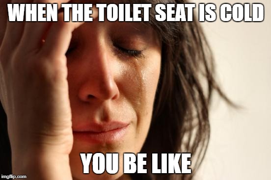 First World Problems Meme | WHEN THE TOILET SEAT IS COLD; YOU BE LIKE | image tagged in memes,first world problems | made w/ Imgflip meme maker