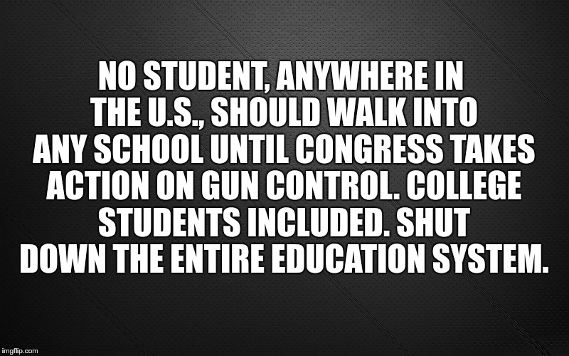 Get Their Attention | NO STUDENT, ANYWHERE IN THE U.S., SHOULD WALK INTO ANY SCHOOL UNTIL CONGRESS TAKES ACTION ON GUN CONTROL. COLLEGE STUDENTS INCLUDED.
SHUT DOWN THE ENTIRE EDUCATION SYSTEM. | image tagged in gun control | made w/ Imgflip meme maker