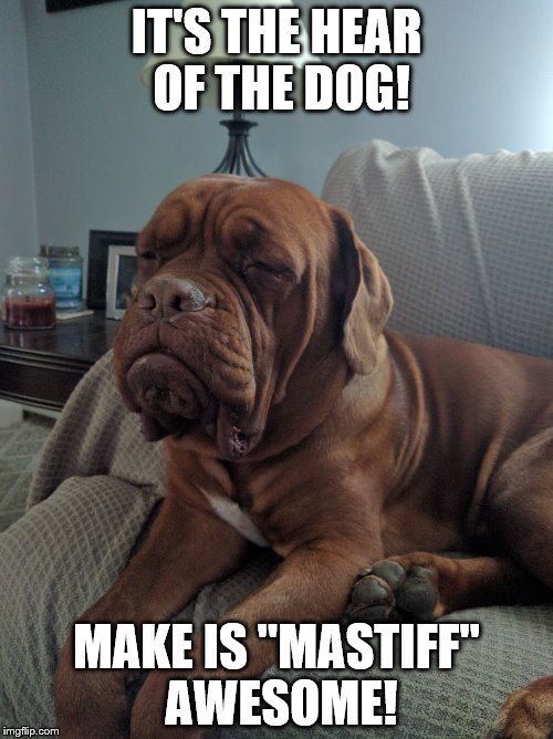 Year of the Dog | IT'S THE HEAR OF THE DOG! MAKE IS "MASTIFF" AWESOME! | image tagged in sleepy mastiff,year of the dog | made w/ Imgflip meme maker