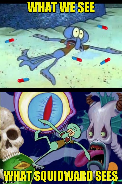  WHAT WE SEE; WHAT SQUIDWARD SEES | image tagged in memes,squidward,acid,drugs,psychedelics,powermetalhead | made w/ Imgflip meme maker