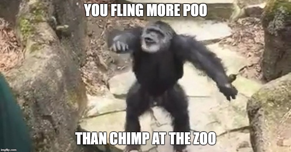Poo chucking chimp | YOU FLING MORE POO; THAN CHIMP AT THE ZOO | image tagged in poo chucking chimp | made w/ Imgflip meme maker