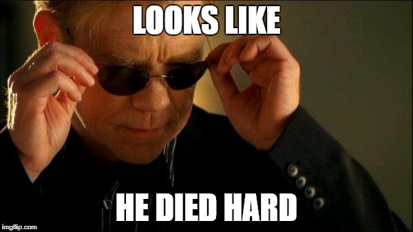 horatio csi | LOOKS LIKE; HE DIED HARD | image tagged in horatio csi | made w/ Imgflip meme maker