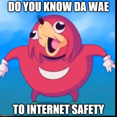 Do you know the way? | DO YOU KNOW DA WAE; TO INTERNET SAFETY | image tagged in do you know the way | made w/ Imgflip meme maker