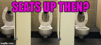 bathroom | SEATS UP THEN? | image tagged in bathroom | made w/ Imgflip meme maker