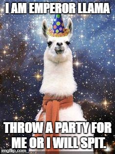 Emperor Llama - PARTY LLAMA |  I AM EMPEROR LLAMA; THROW A PARTY FOR ME OR I WILL SPIT. | image tagged in drama llama birthday | made w/ Imgflip meme maker