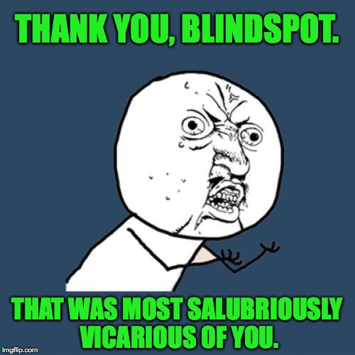 Y U No Meme | THANK YOU, BLINDSPOT. THAT WAS MOST SALUBRIOUSLY VICARIOUS OF YOU. | image tagged in memes,y u no | made w/ Imgflip meme maker