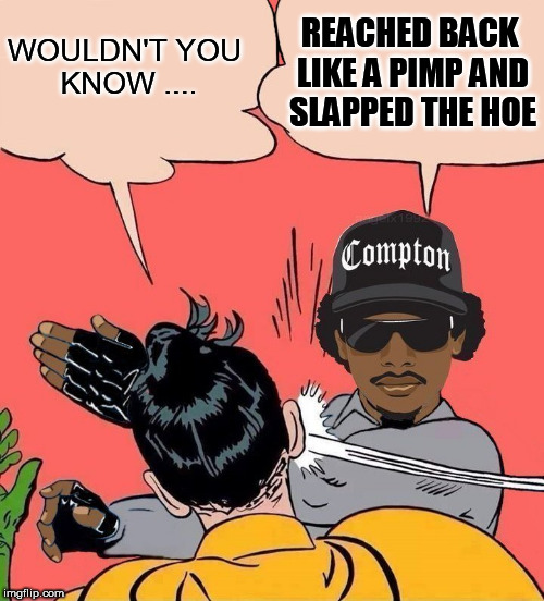Eazy-E |  REACHED BACK LIKE A PIMP AND SLAPPED THE HOE; WOULDN'T YOU KNOW .... | image tagged in rapper,batman slapping robin,batman and robin,hoe,slap,batman | made w/ Imgflip meme maker