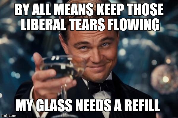 Leonardo Dicaprio Cheers Meme | BY ALL MEANS KEEP THOSE LIBERAL TEARS FLOWING; MY GLASS NEEDS A REFILL | image tagged in memes,leonardo dicaprio cheers | made w/ Imgflip meme maker