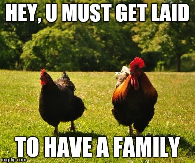 Chicken Family | HEY, U MUST GET LAID; TO HAVE A FAMILY | image tagged in egg,chicken | made w/ Imgflip meme maker