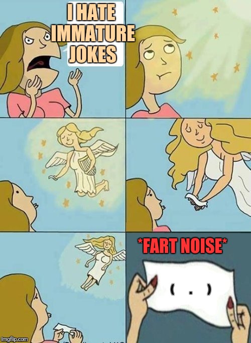 We don't care | I HATE IMMATURE JOKES; *FART NOISE*; ( . ) | image tagged in we don't care | made w/ Imgflip meme maker