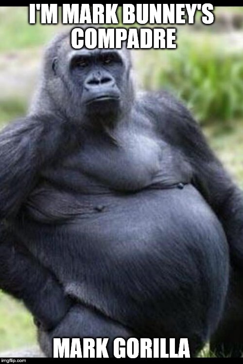 Fat gorilla  | I'M MARK BUNNEY'S COMPADRE; MARK GORILLA | image tagged in fat gorilla | made w/ Imgflip meme maker