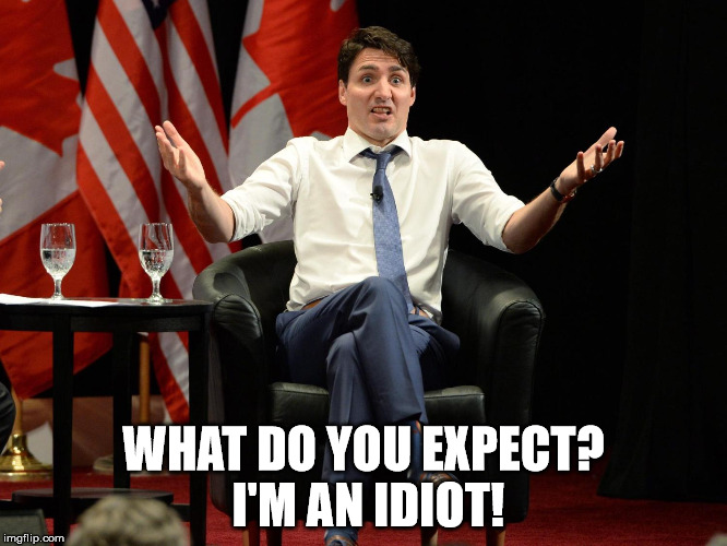 A Canadian Idiot | WHAT DO YOU EXPECT? I'M AN IDIOT! | image tagged in justin trudeau | made w/ Imgflip meme maker