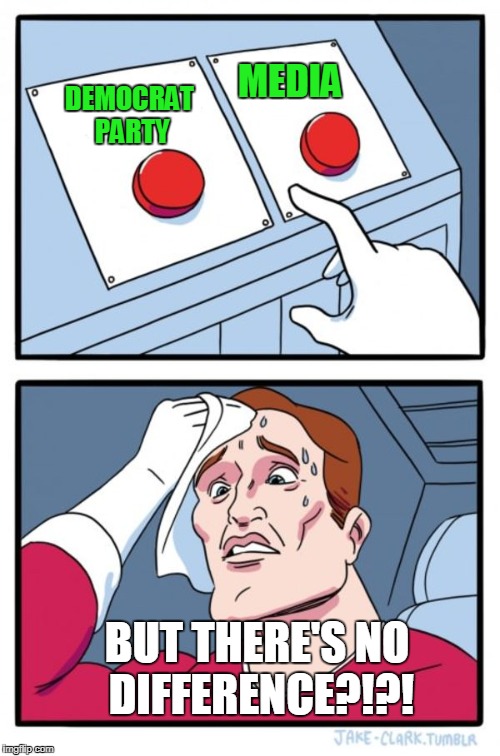 How About Neither | MEDIA; DEMOCRAT PARTY; BUT THERE'S NO DIFFERENCE?!?! | image tagged in memes,two buttons | made w/ Imgflip meme maker