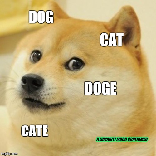 Doge | DOG; CAT; DOGE; CATE; ILLUMANITI MUCH CONFIRMED | image tagged in memes,doge | made w/ Imgflip meme maker