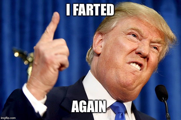 Donald Trump | I FARTED; AGAIN | image tagged in donald trump | made w/ Imgflip meme maker